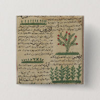 Botanische Pflanzen, Illustration von '