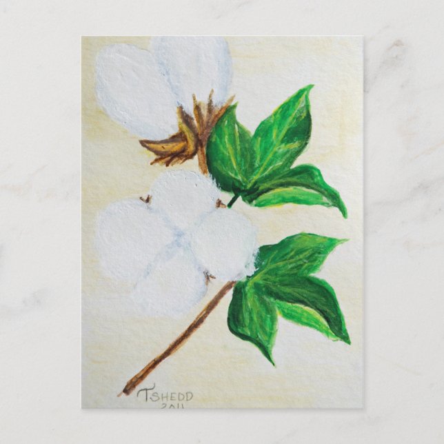 Botanische Postkarte (Vorderseite)