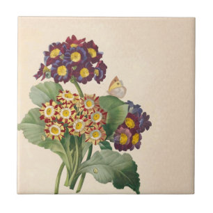 Botanische Primel Fliese