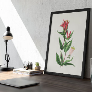 Botanische Printwerbung für antikes Wasser Poster