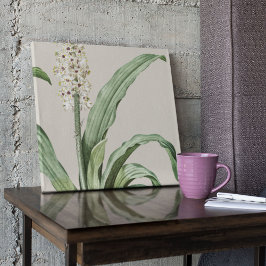 Botanische Printwerbung für antikes Wasser Poster