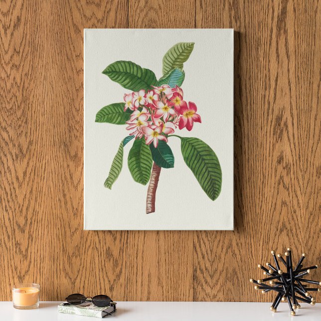 Botanische Printwerbung für antikes Wasser Poster (Antique Watercolor Botanical Print)