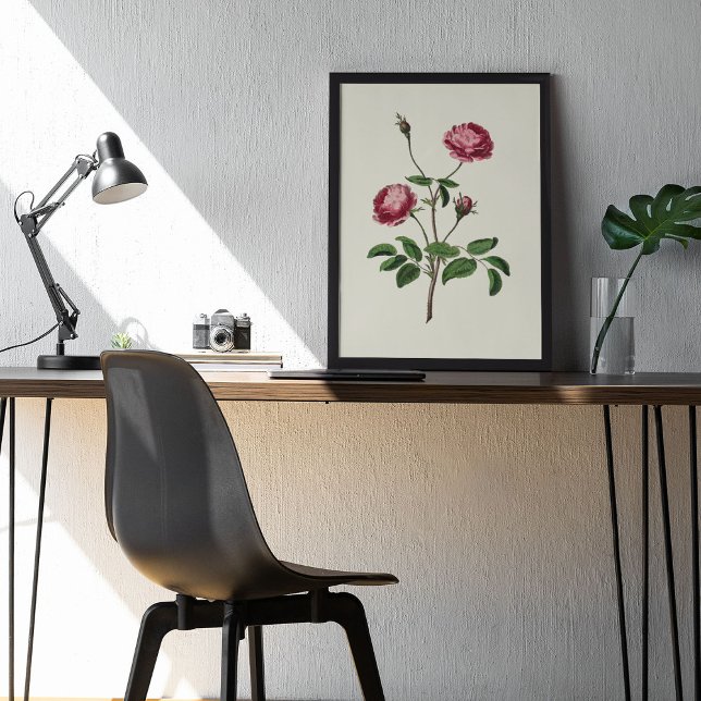 Botanische Printwerbung für antikes Wasser Poster (Antique Watercolor Botanical Print)