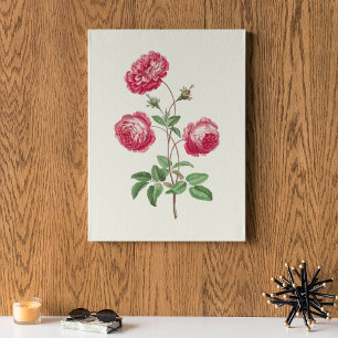 Botanische Printwerbung für antikes Wasser Poster