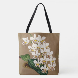 Botanische Printwerbung für Weiße Orchideen, Hinte Tasche