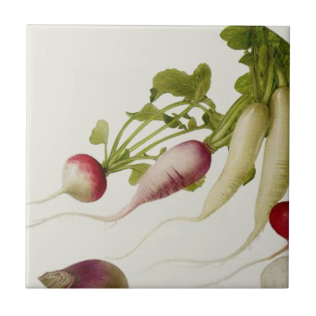 Botanische Radieschen Fliese (Vorderseite)