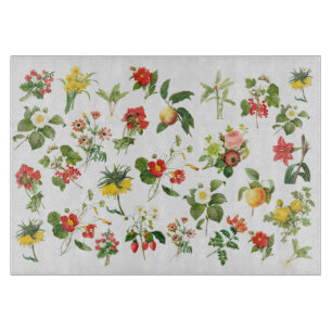 Botanische Redoute-Dekorative Glasschneide Schneidebrett
