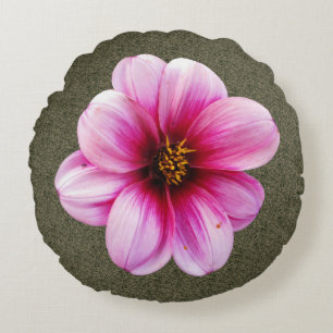 Botanische rosa Dahlie-Blume Rundes Kissen