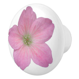 Botanische rosa Pelargonie-Blume auf irgendeiner Keramikknauf