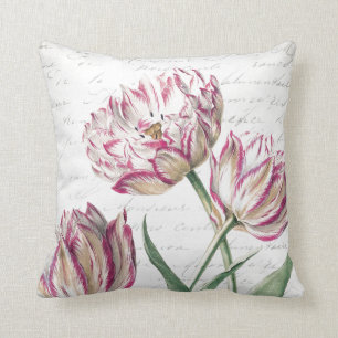 Botanische rosa und weiße Tulpe-Illustration Kissen
