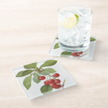 Botanische Rote Kirschen