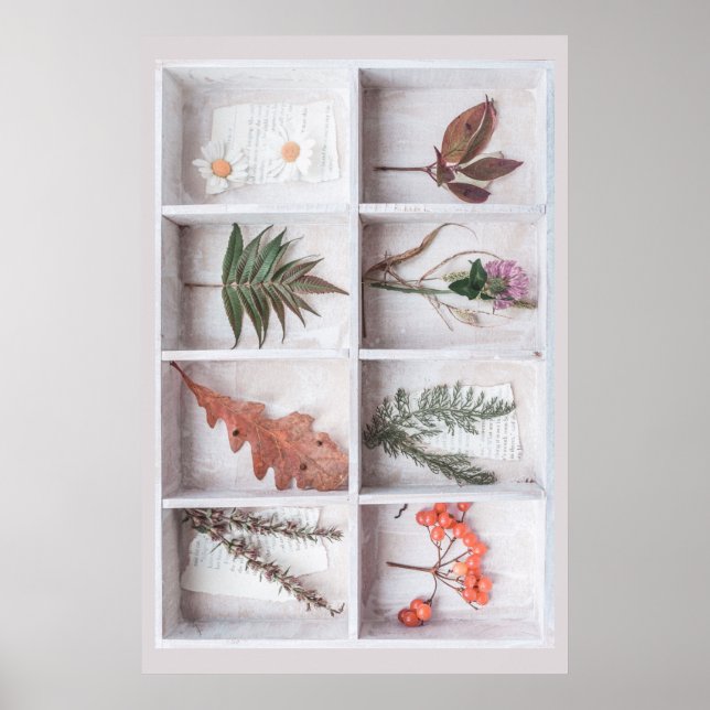 Botanische Schattenbox, Blume Blätter Ferns Poster (Vorne)