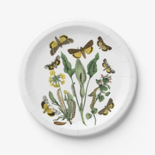 Botanische Schmetterlings-und Motten-natürliche Pappteller