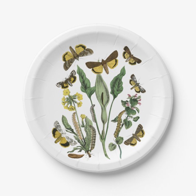 Botanische Schmetterlings-und Motten-natürliche Pappteller (Vorderseite)