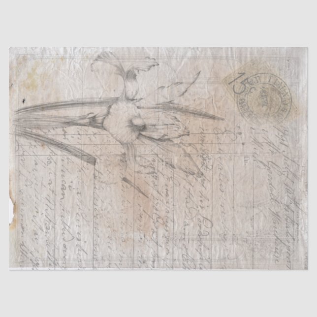 Botanische Skizze antike Schreibdecoupage Papier. Seidenpapier (Vorderseite)