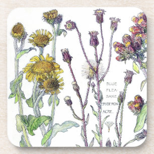 Botanische Spikenard-Wildblumen-Blumen-Untersetzer Getränkeuntersetzer