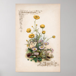 Botanische Stiche, April Poster