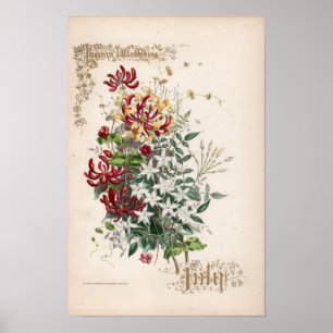 Botanische Stiche, Juli Poster