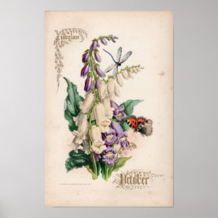 Botanische Stiche, Oktober Poster