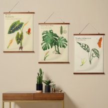 Botanische Tapisserien - Monstera Set