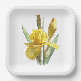 Botanische Teller aus Yellow Bartded Iris