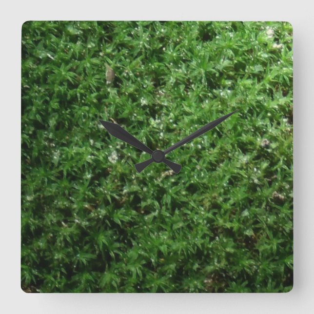 Botanische Uhr für die Natur im Freien (Vorderseite)