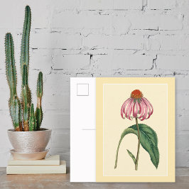 Botanische Vorstellung Postkarte