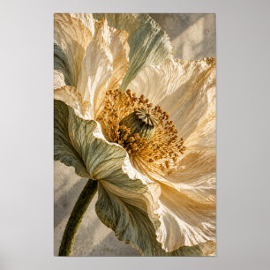Botanische Wandkunst Cream Poppy Blossom Poster