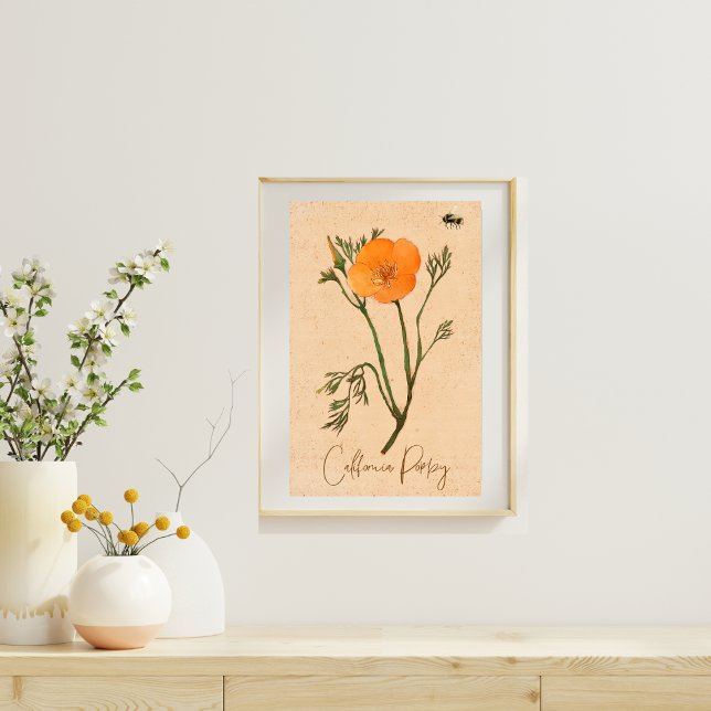 Botanische Wildblume California Poppy Orange Poster (Von Creator hochgeladen)