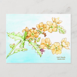 Botanische Wildblumen-Wasserfarbe, Globusmalve Postkarte
