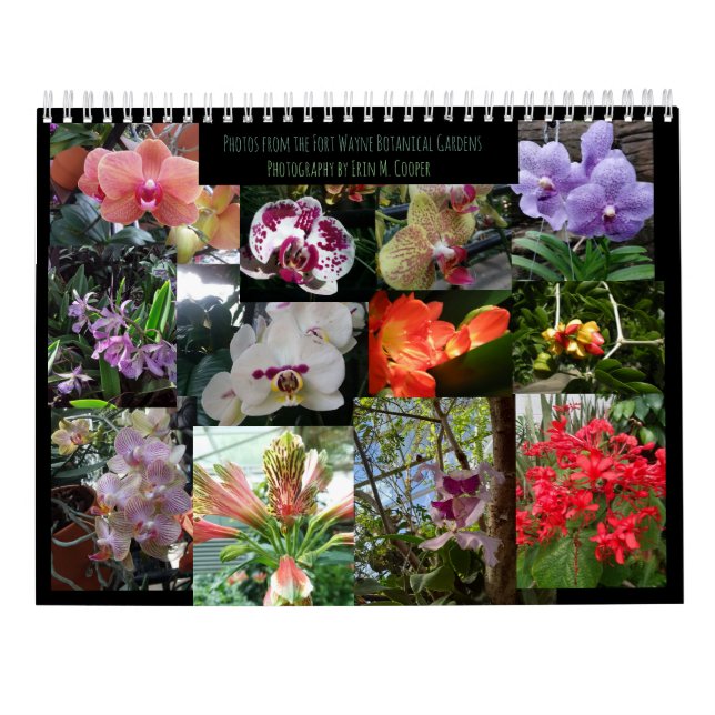 Botanische Wunder, Orchideen und tropische Blume Kalender (Rückseite)