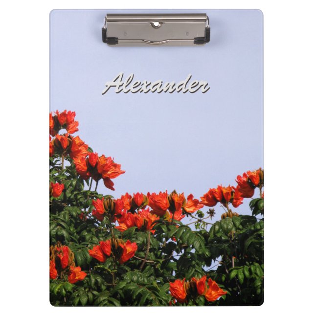 Botanischer afrikanischer Tulpe-Baum irgendein Klemmbrett (Vorderseite)
