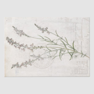 Botanischer Blumendekoupage des Vintagen Lavendels Seidenpapier