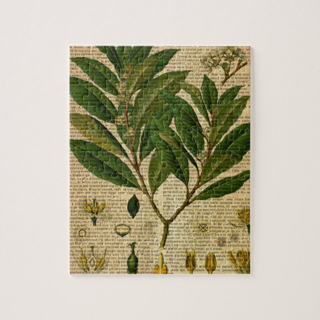 Botanischer Druck auf Seite des alten Buches (Vertikal)