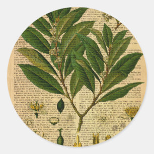 Botanischer Druck auf Seite des alten Buches Runder Aufkleber