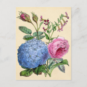 Botanischer Druck - Hortensie & Rosen Postkarte