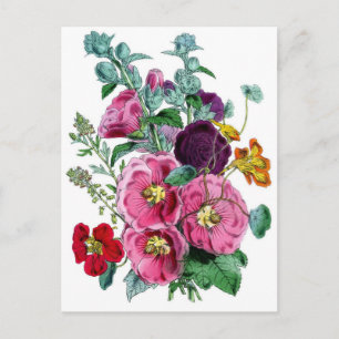 Botanischer Druck - Stockrosen & Rosen Postkarte