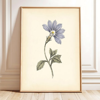 Botanischer Fächerblumen-Vintage-Druck Poster
