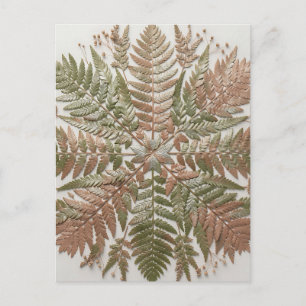 Botanischer Farn Grün Kupfer Gepresste Blätter Postkarte