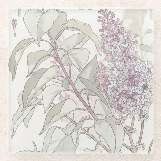 Botanischer Flieder Glasuntersetzer (Vorderseite)
