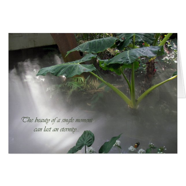 Botanischer Garten (Vorderseite (Horizontal))