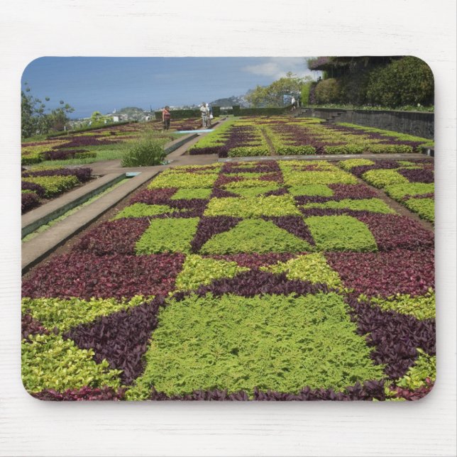 Botanischer Garten, Funchal, Madeira, Mousepad (Vorne)