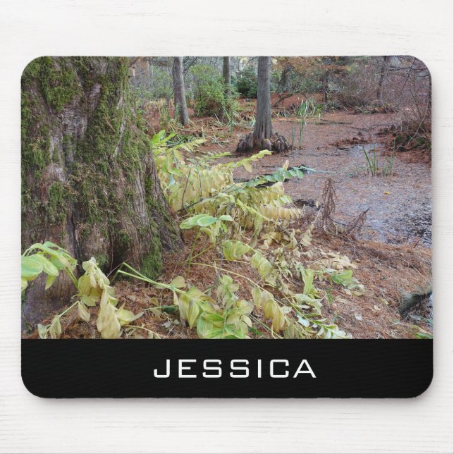 Botanischer Garten im Herbst, Name hinzufügen Mousepad (Vorne)