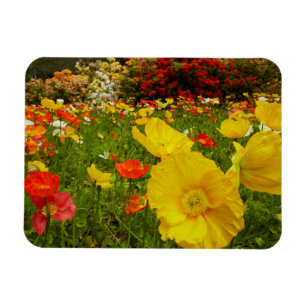 Botanischer Garten im Queens Park Magnet
