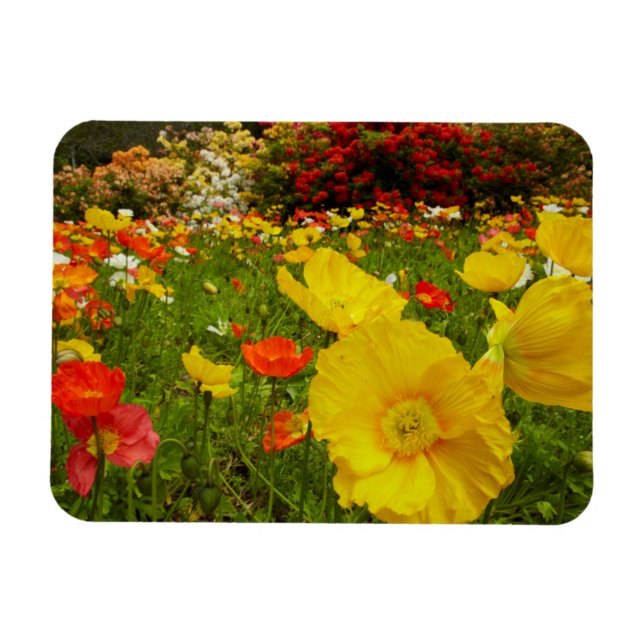 Botanischer Garten im Queens Park Magnet (Horizontal)