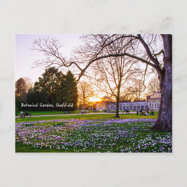 Botanischer Garten in Sheffield Postkarte (Vorderseite)