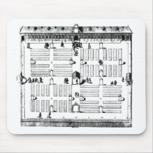 Botanischer Garten Leidens (Stich) (b/w Foto) Mousepad
