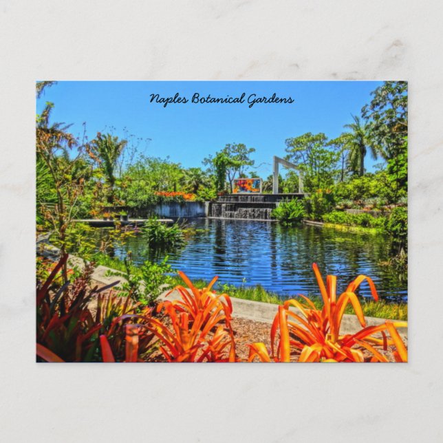 Botanischer Garten Neapel Florida - Mauerwerk Postkarte (Vorderseite)