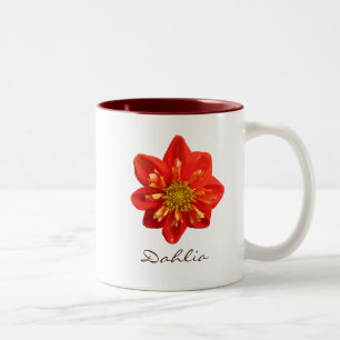 Botanischer Garten-orange Dahlie-Blume Zweifarbige Tasse