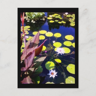 Botanischer Garten Postkarte